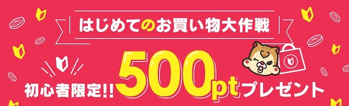 ポイントインカムはじめてのお買い物大作戦