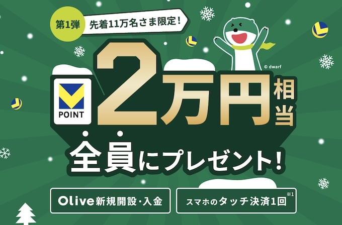 Vポイント最大20,000円相当プレゼントキャンペーン【25_2_28まで】
