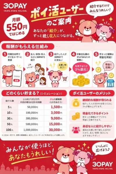 30Payポイ活ユーザー (1)
